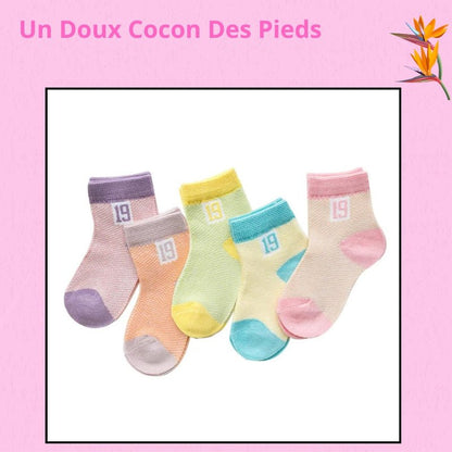 Chaussettes Bébé P'tits Pieds™ BabySteps | Pack 5 Paires | Coton 100% - Binoubabyshop